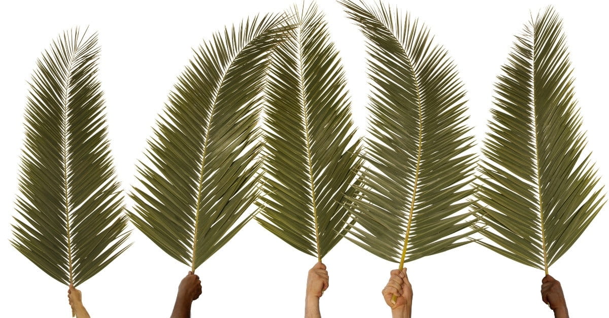 Happy Palm Sunday Pictures