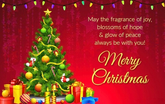merry christmas wishes for family