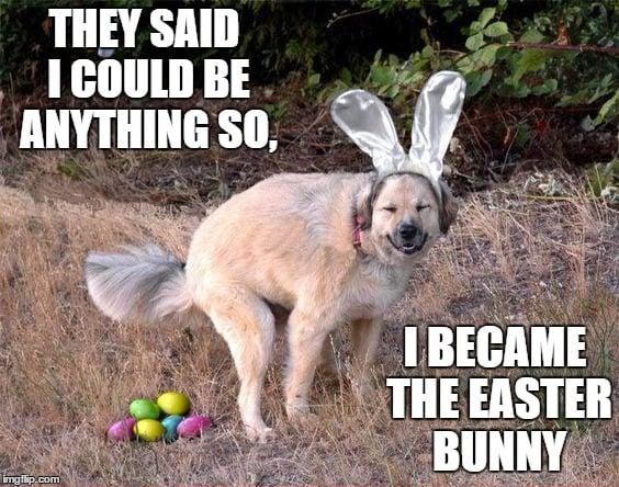 fucked up easter memes